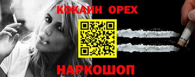 сатива Кингисепп