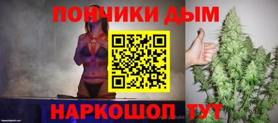 сатива Кингисепп