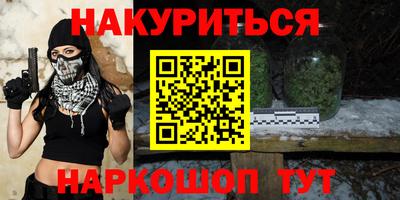 сатива Кингисепп
