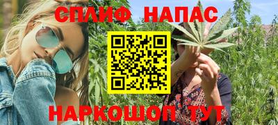 сатива Кингисепп