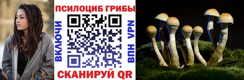 магазин    blacksprut сайт  Галлюциногенные грибы MAGIC MUSHROOMS  Сургут 