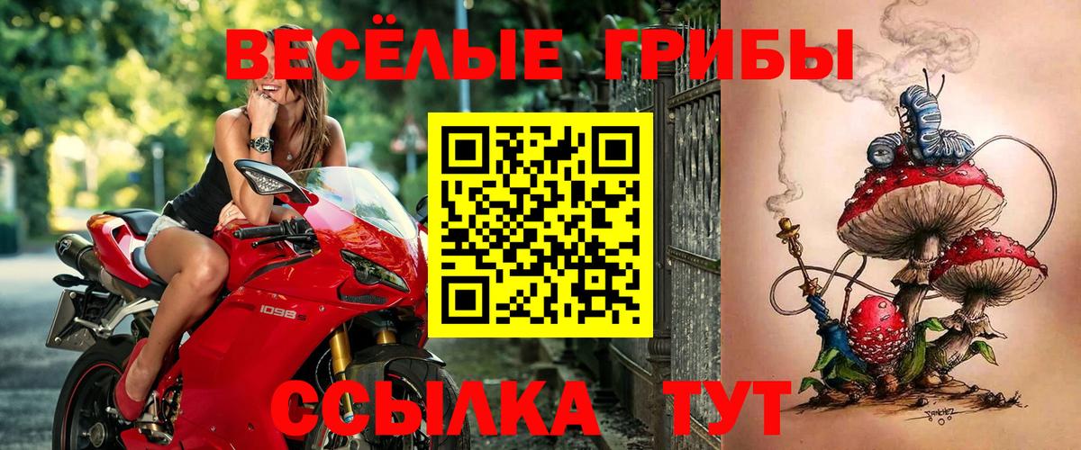 Галлюциногенные грибы GOLDEN TEACHER Сургут