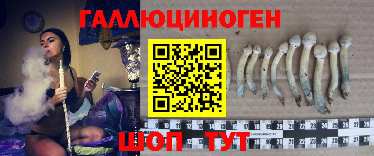 Галлюциногенные грибы Cubensis  Псилоцибиновые грибы Cubensis  Сургут 