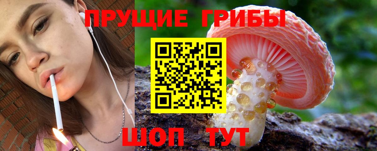 Галлюциногенные грибы мицелий  Псилоцибиновые грибы Psilocybe  Вход с VPN  Сургут 