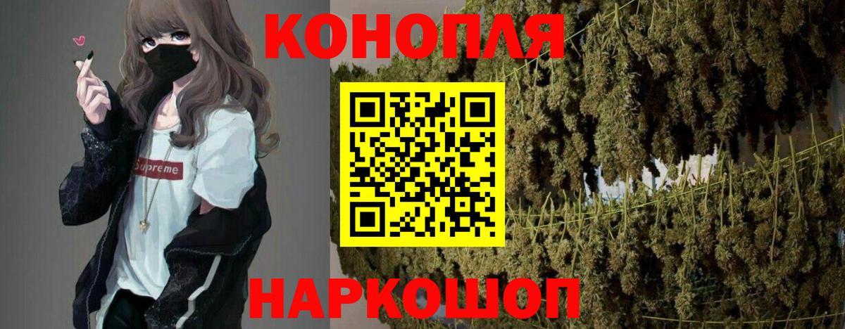 МАРИХУАНА план  Сургут  Шишки марихуана OG Kush 